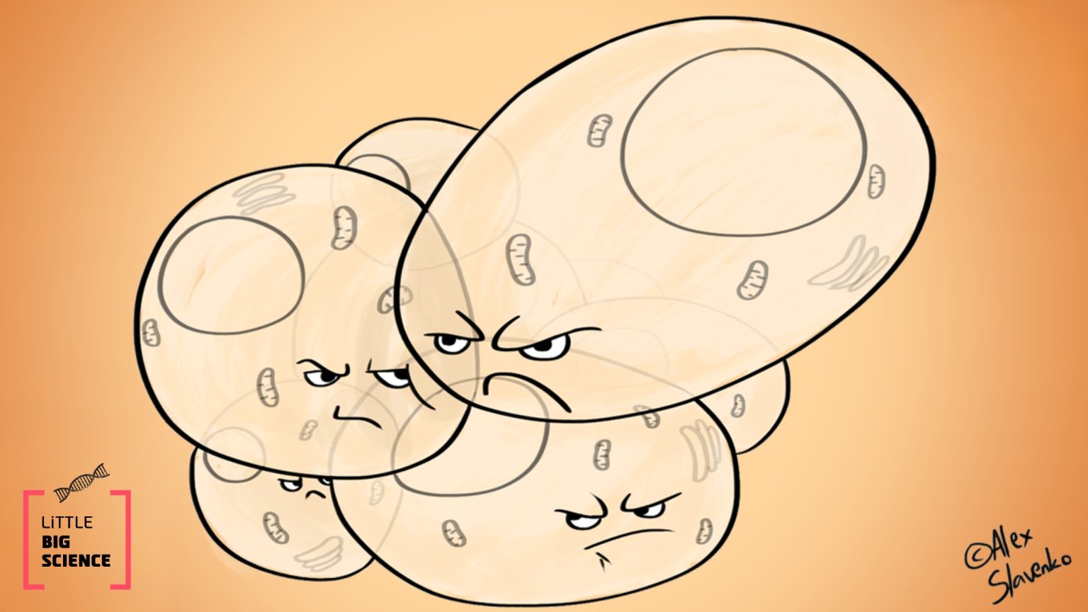 Frustrated cells in motion - Little, Big Science : Little, Big Science