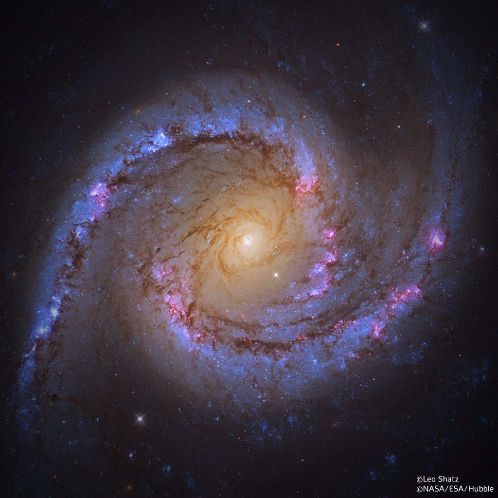הגלקסיה NGC 1566